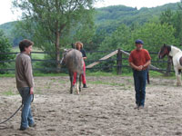 Ranch-Reiter Basiskurs Horsemanship I mit Peter Pfister