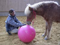 Pfiffige Kunstücke beim Zirkuskurs mit Peter Pfister