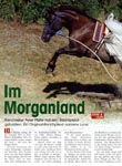 Im Morganland (Cavallo 9/2003) 1/3