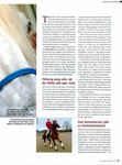 Spiegel-Affre (Cavallo 01/2013) 2/5