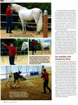 Spiegel-Affre (Cavallo 01/2013) 3/5
