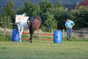 Sprung im Dreierpack