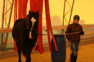 Horsemanship Kids Flattervorhang