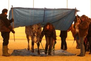 Horsemanship Kids Himmel auf Stangen