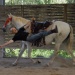 Trickreiten II
