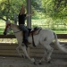 Trickreiten III