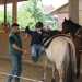 Trickreiten 2