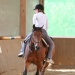 Trickreiten 3