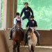 Trickreiten 4