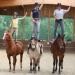 Trickreiten 5
