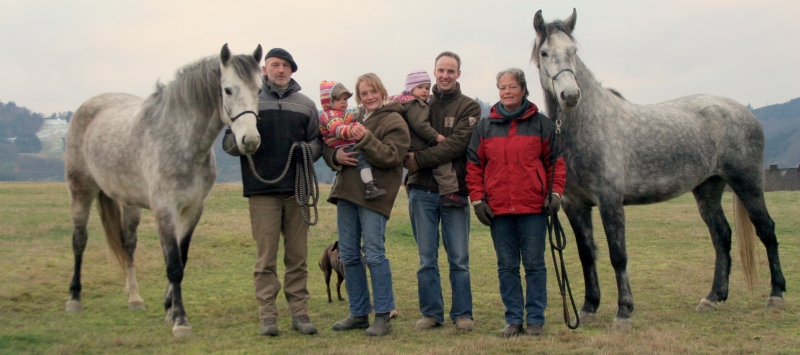 Die ganze Familie mit den helvetischen Stuten