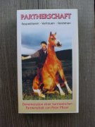 Video Partnerschaft