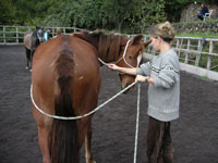 Biegeübungen beim Ranch-Reiter Basiskurs Horsemanship I mit Peter Pfister