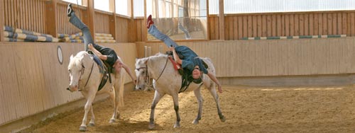 Kopfüber beim Trickreiterkurs