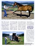 Von allem das Beste (Cavallo 7/2002) 3/4