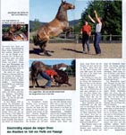 Im Morganland (Cavallo 9/2003) 3/3