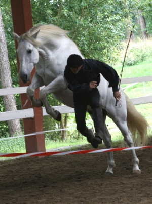 Sprung von Michel und Peter