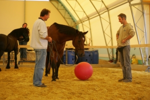 Der Ball soll rollen