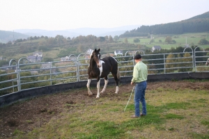 Roundpanarbeit