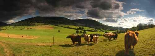 Panorama Rommelsberg 