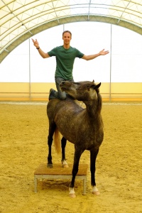 Christoph und Boas (Foto: Eva Wiesner)