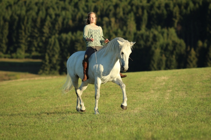 Steffi & Zoe in freier Dressur (Foto: Malous Fotografie)