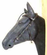 Kopfstck - Anatomic Bridle Arrimar fr Gebisslose Zumungen & Trensen