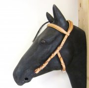 Kopfstck - Anatomic Bridle Arrimar fr Gebisslose Zumungen & Trensen