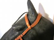 Kopfstck - Anatomic Bridle Arrimar fr Gebisslose Zumungen & Trensen