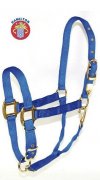 Qualittsstallhalfter von Hamilton Premium Gr. XL - Large