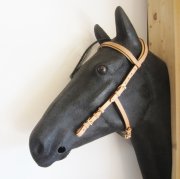 Kopfstck - Anatomic Bridle Arrimar GOLD Edition fr Gebisslose Zumungen & Trensen