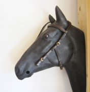 Kopfstck - Anatomic Bridle Arrimar GOLD Edition fr Gebisslose Zumungen & Trensen