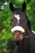 Nasenschoner aus echtem Lammfell